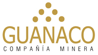 logo guanaco chico