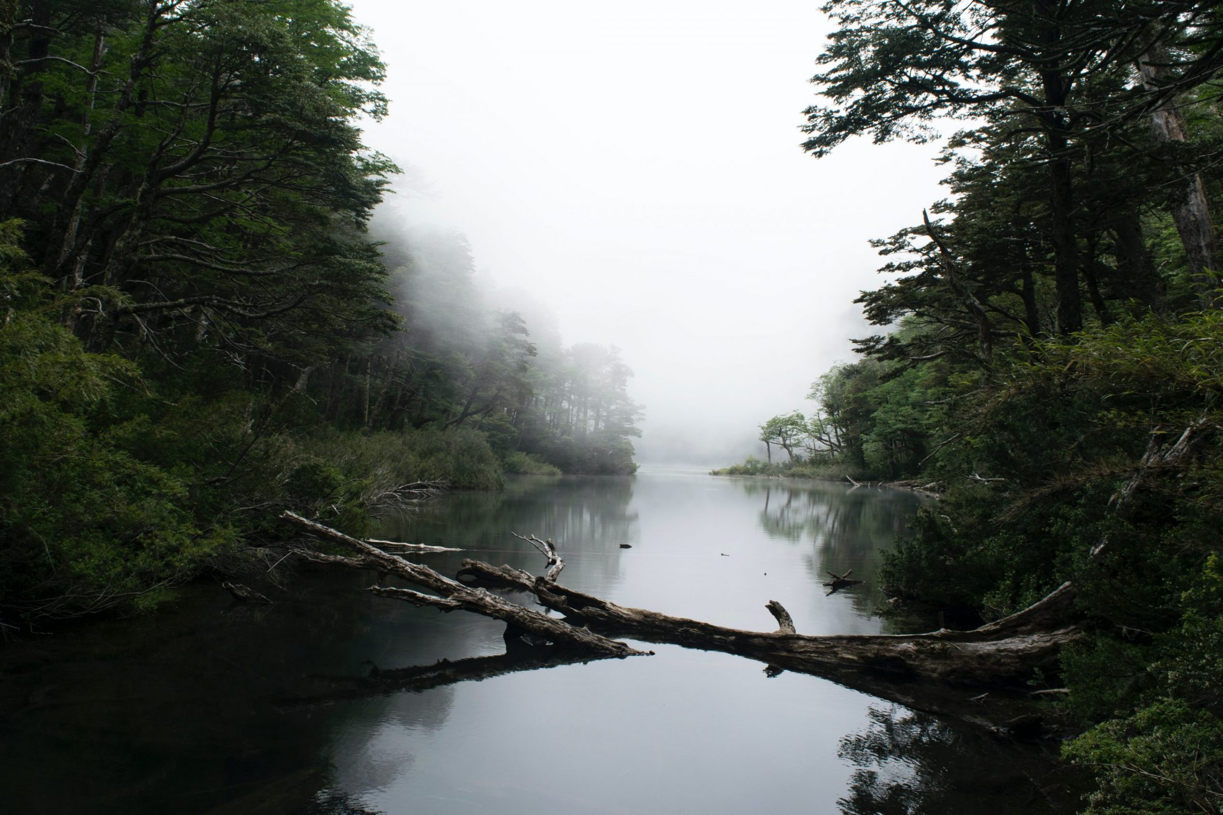 aguas